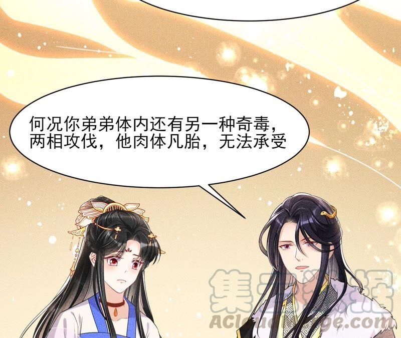 工具人小红36