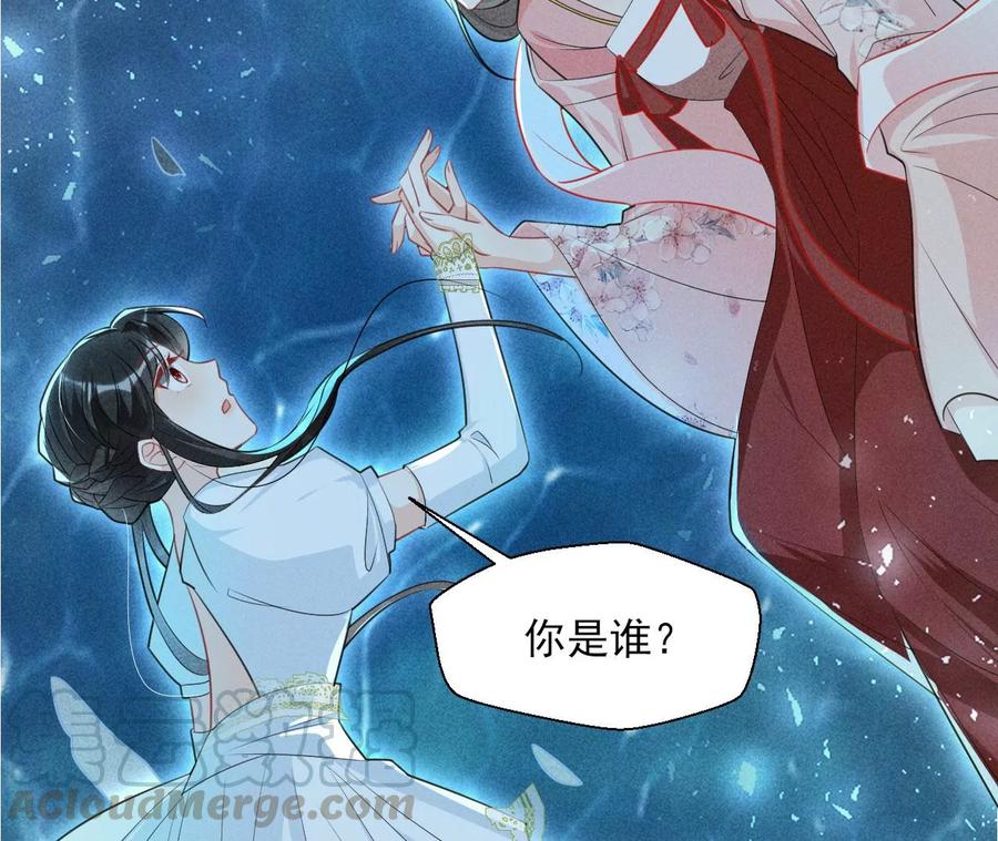 你的身份，我很好奇55