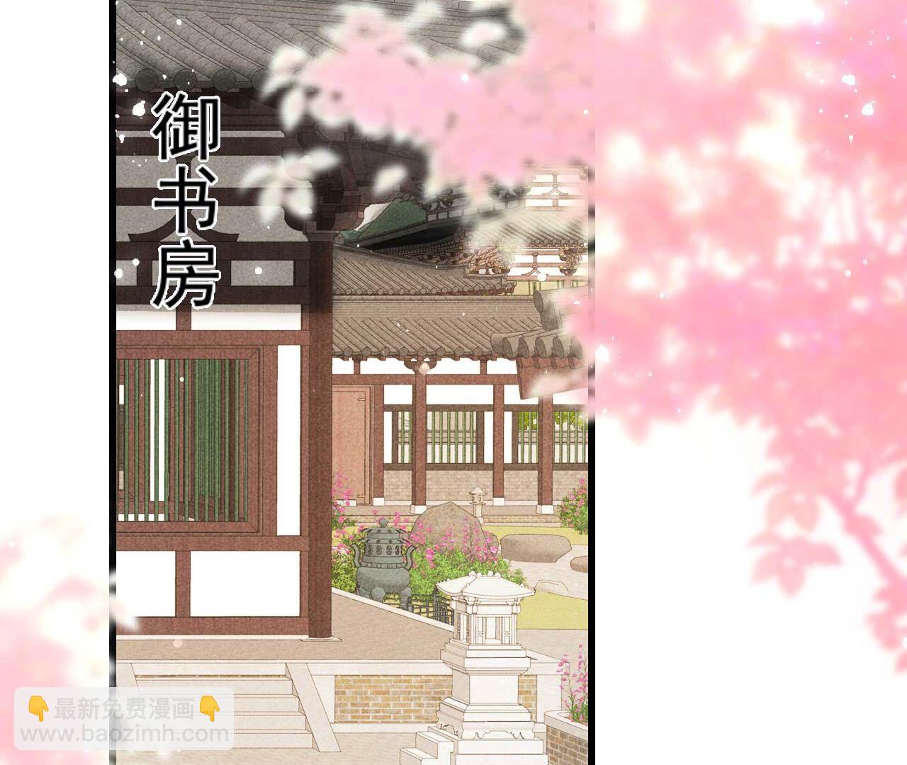 长公主的安排5