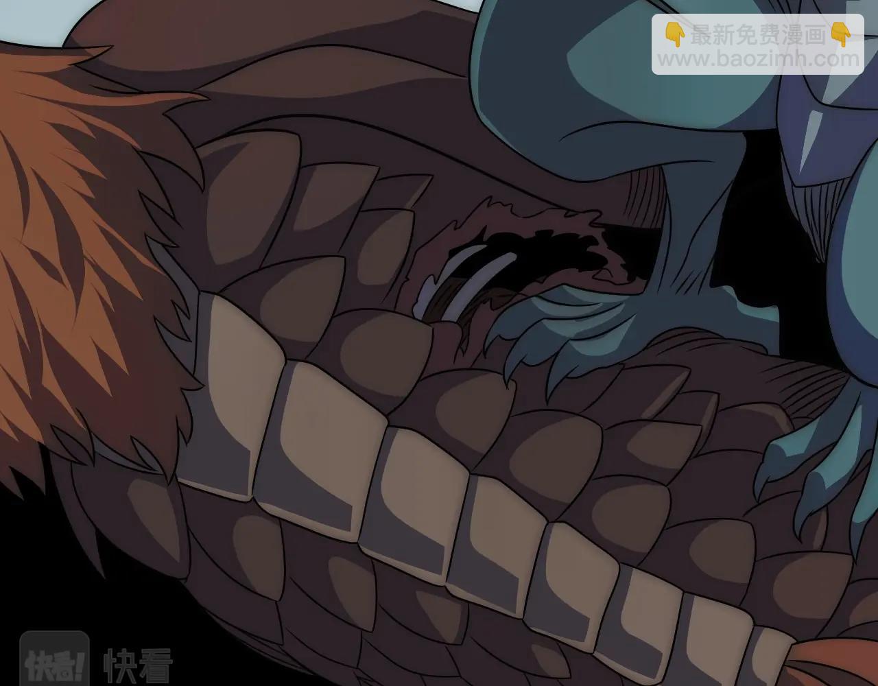 第45话 风神翼龙！80
