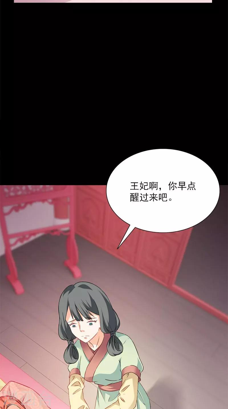 第107话 王妃醒了17