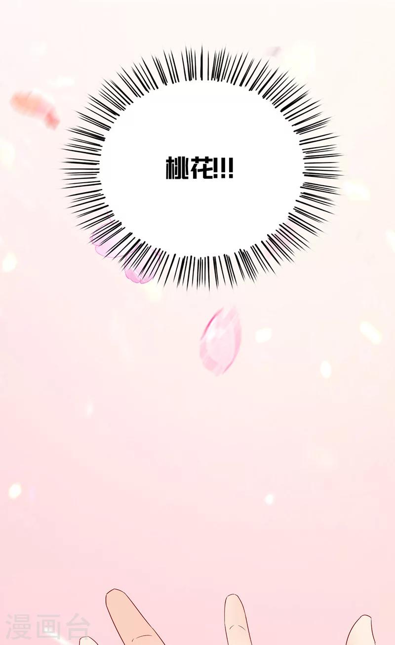 第115话 桃花27