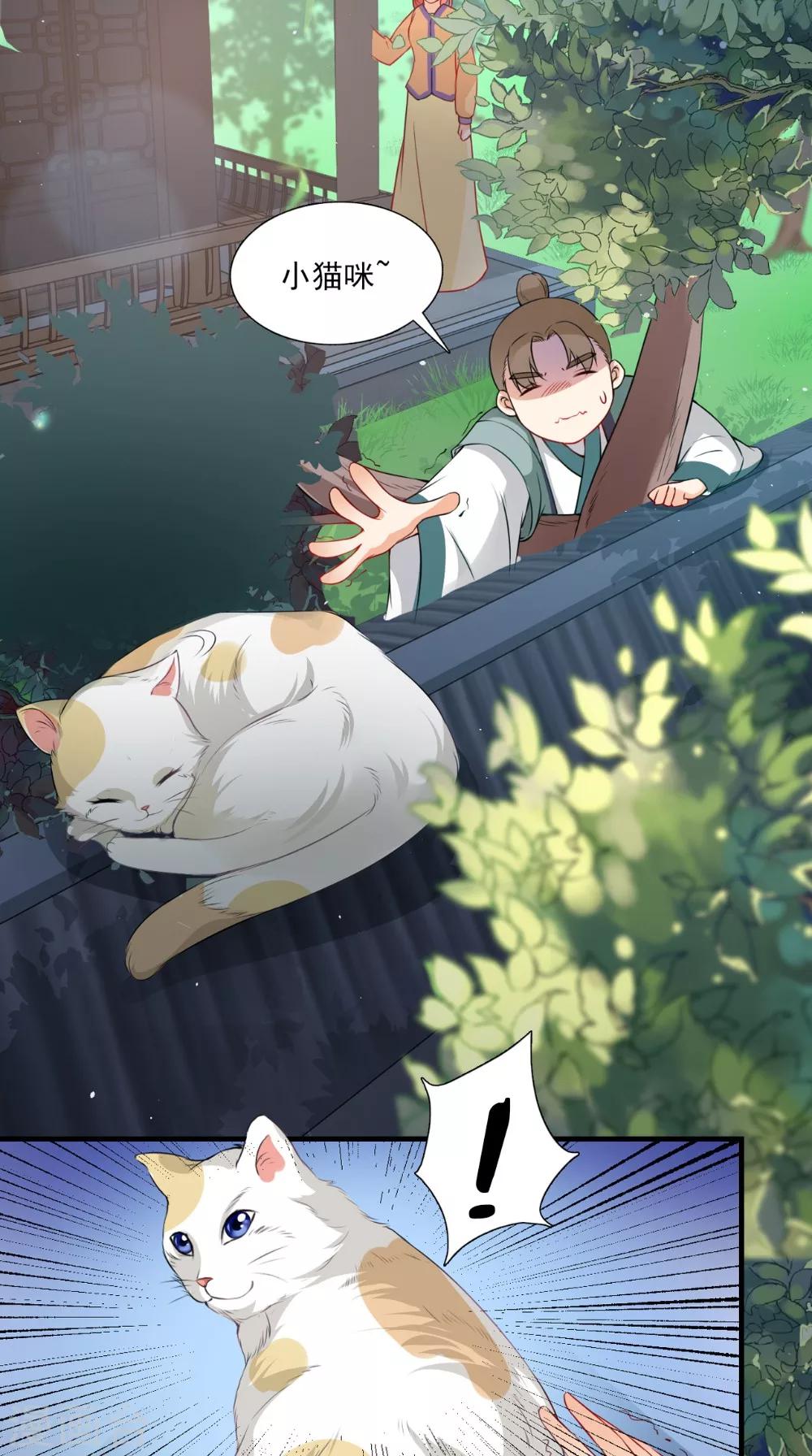 第139话 捉猫咪的人7