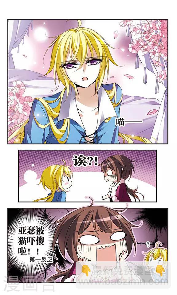 第74话 变身成猫的亚瑟1