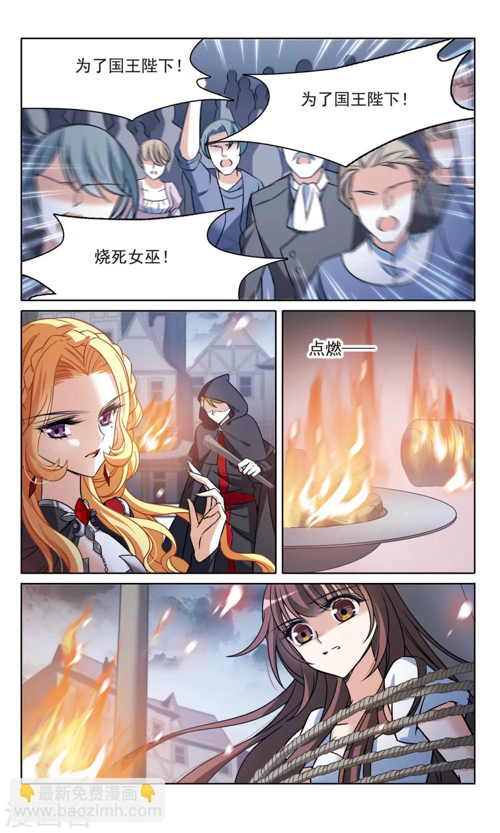 第160话 火刑营救14