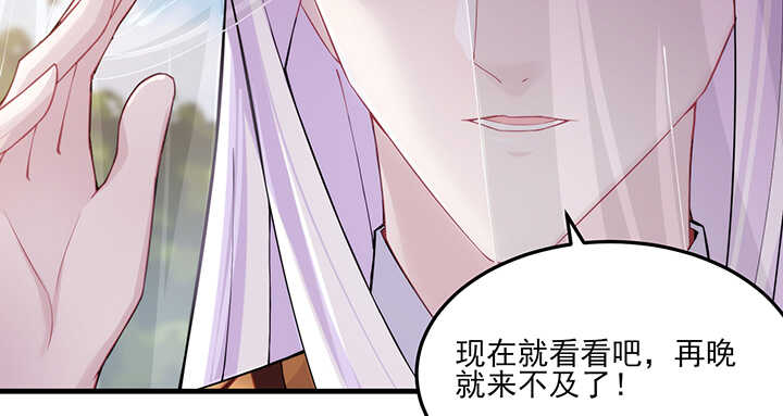 98话 念皎姑娘有喜了！69