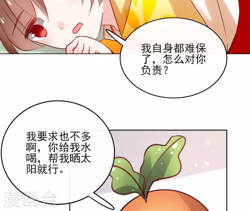 第35话 罗宝11