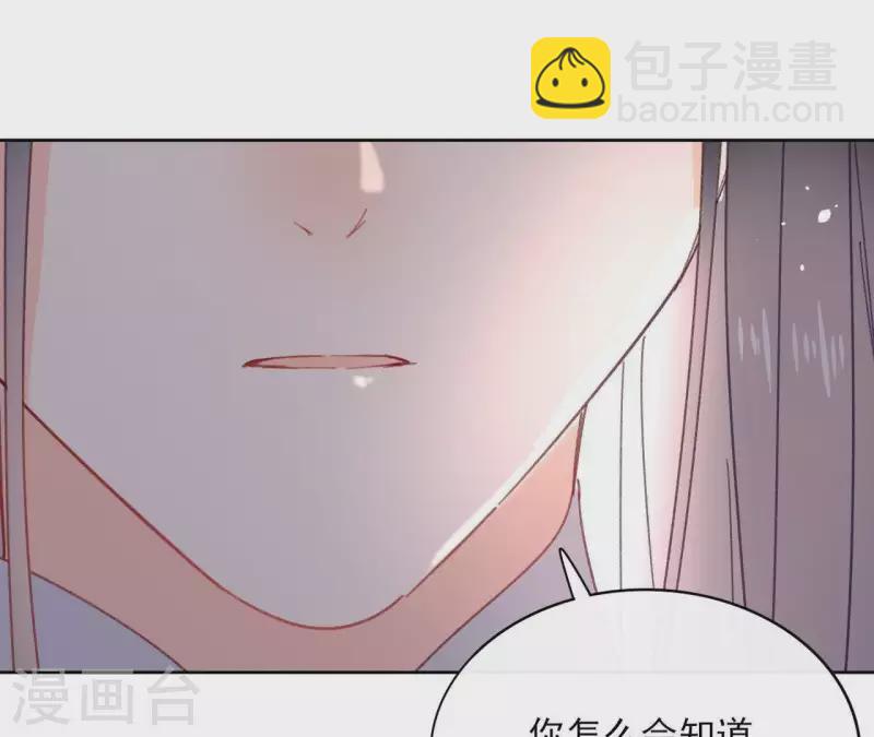 第73话 伪造密函3