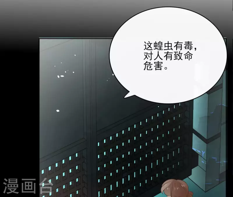 第84话 宝儿57