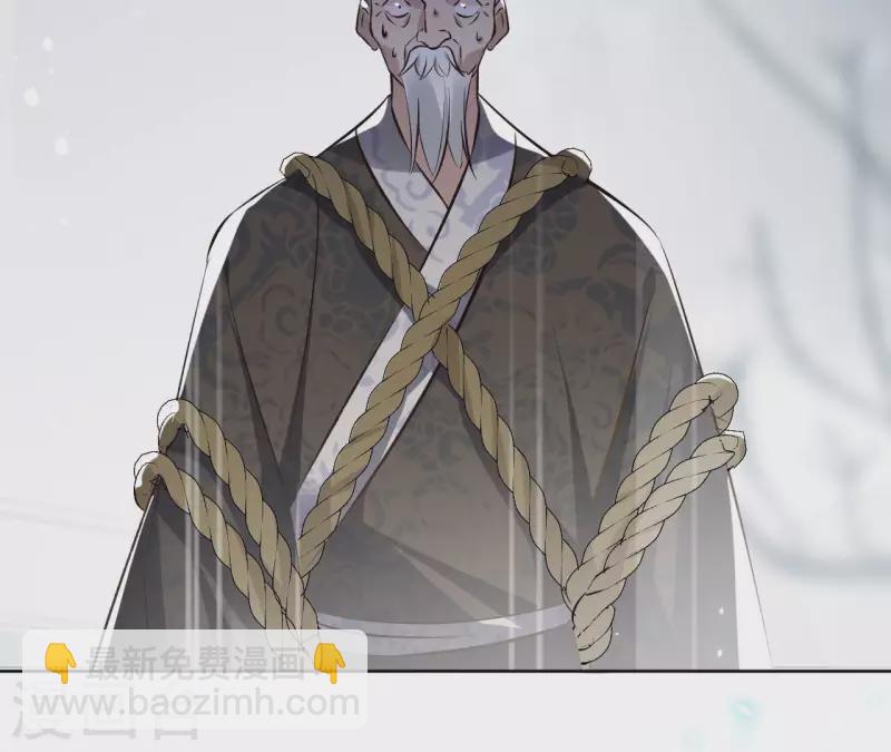 第131话 大魏新帝5