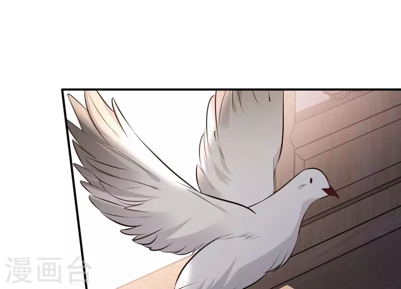 第157话 飞鸽传书4
