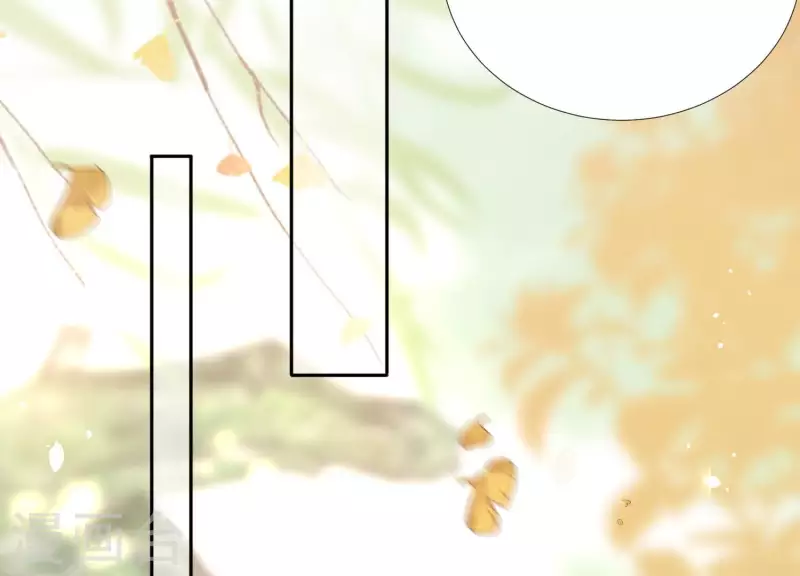 第162话 往事26