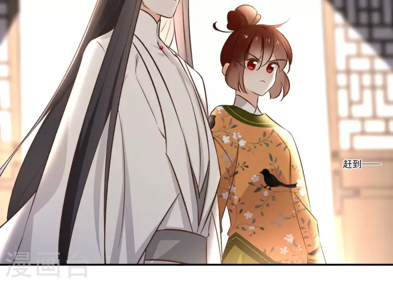 第164话 偷袭22