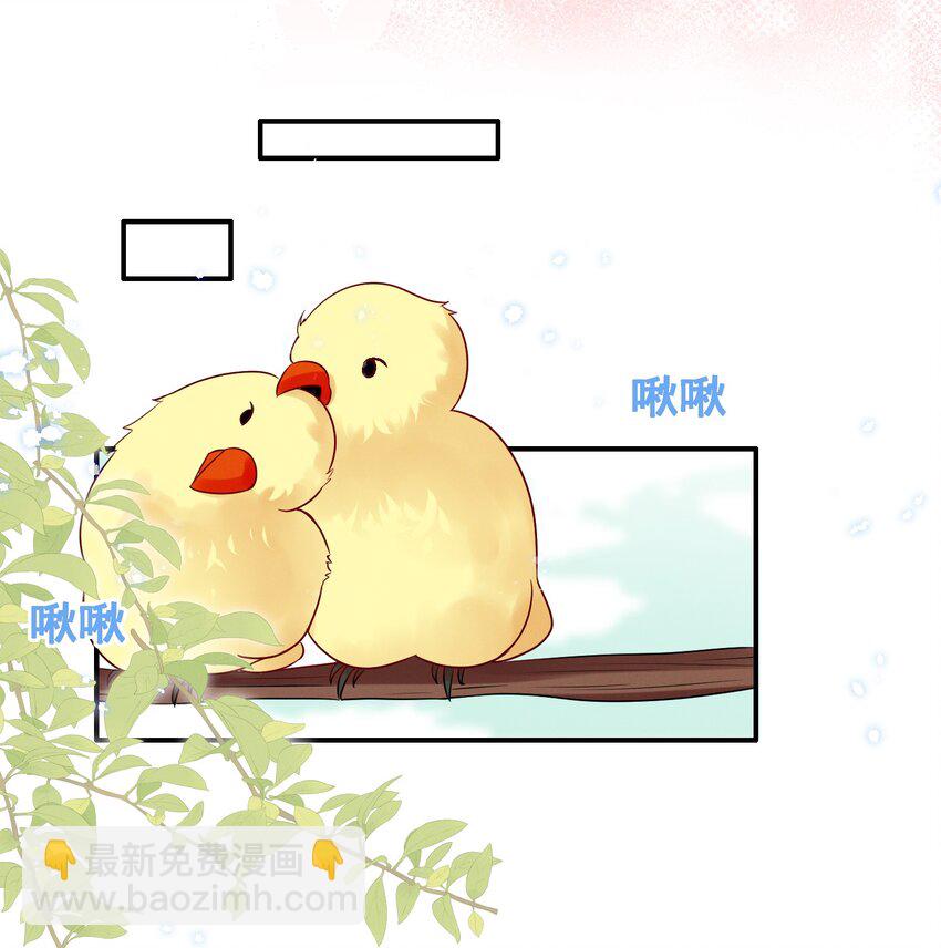 071 有猫腻10