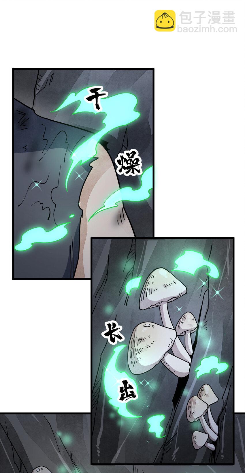 294 29432
