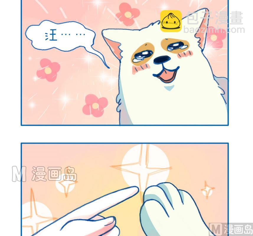172敢抱狗1