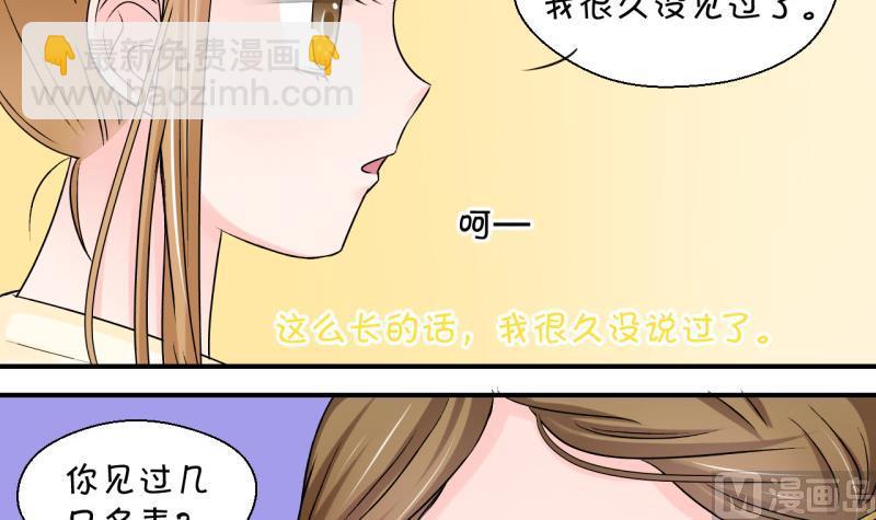 第81话 回家去找男神 15