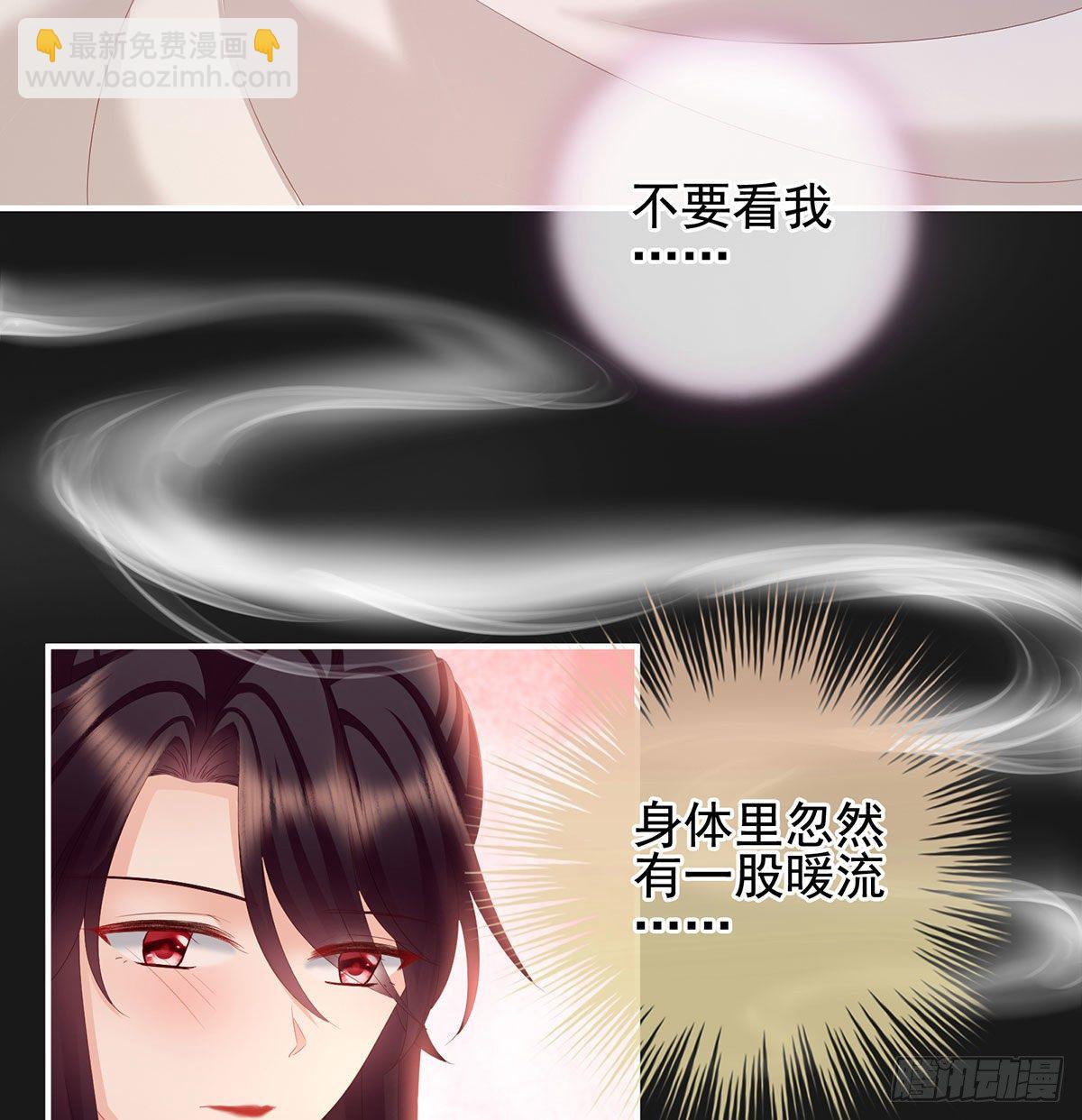花期56