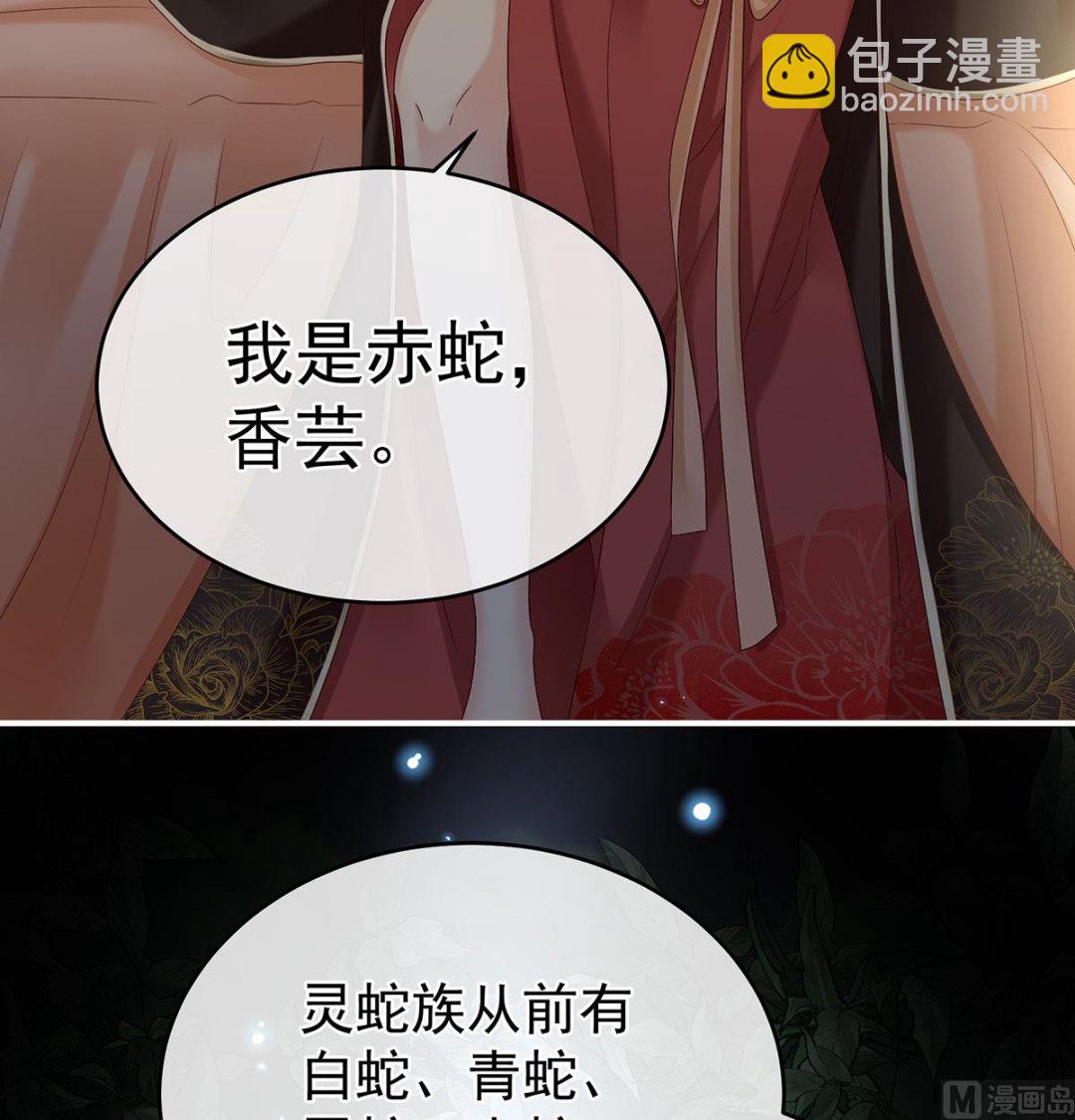 第71话 生很多蛇宝宝41