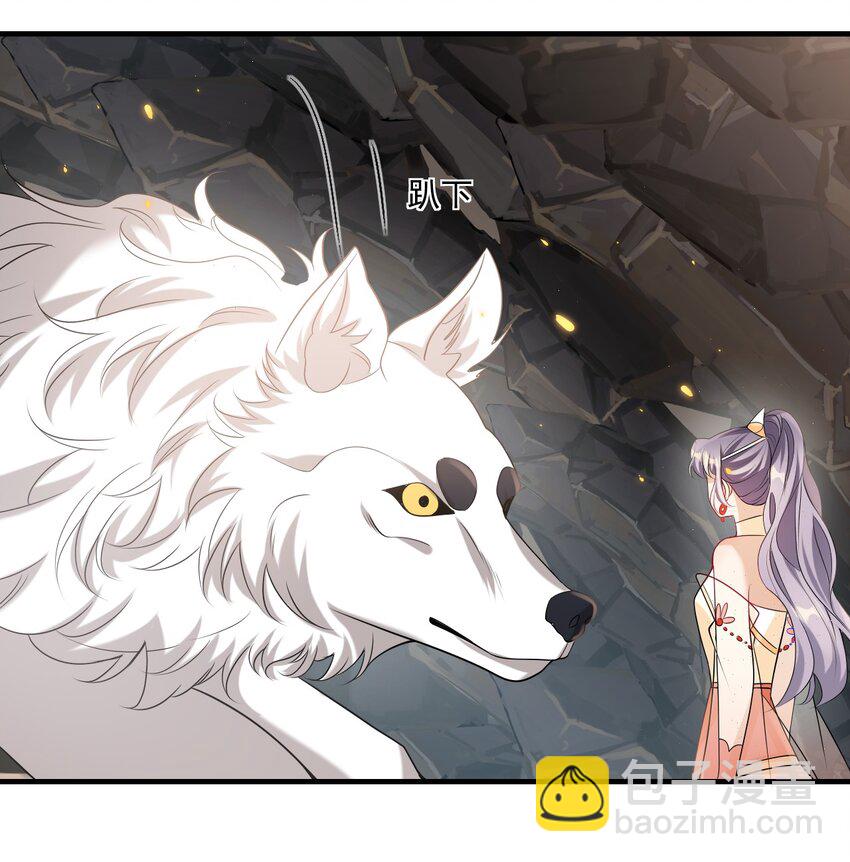035 不忍心让“她”为难！28