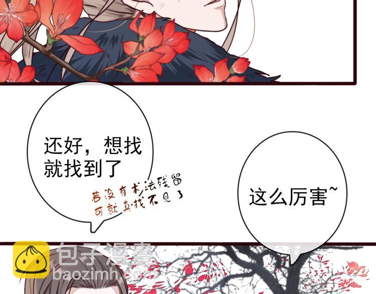 第67话  这一世，我来走8