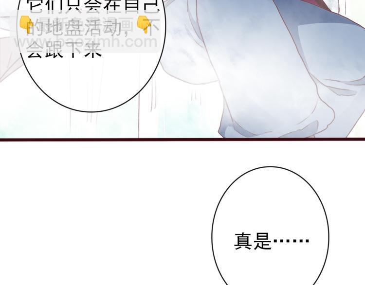 第71话 被他保护的感觉，很好35