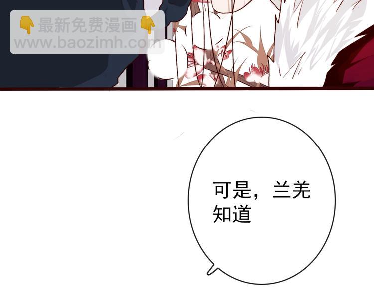 完结篇 与你看那杏林芳华28
