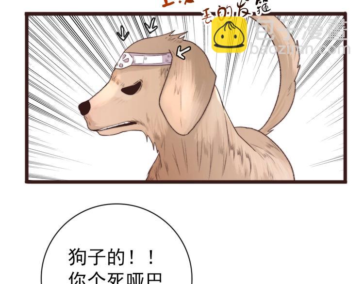 第40话 下毒73