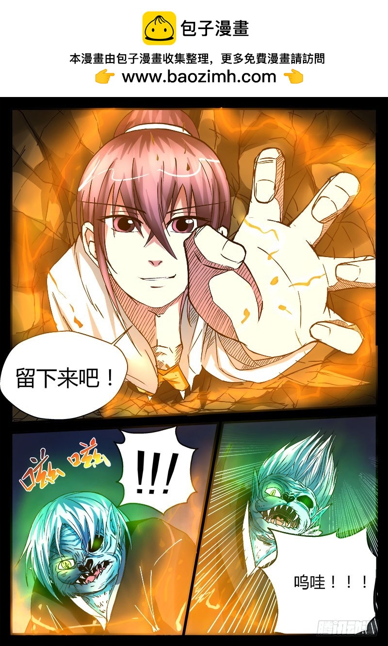 猫妖 311