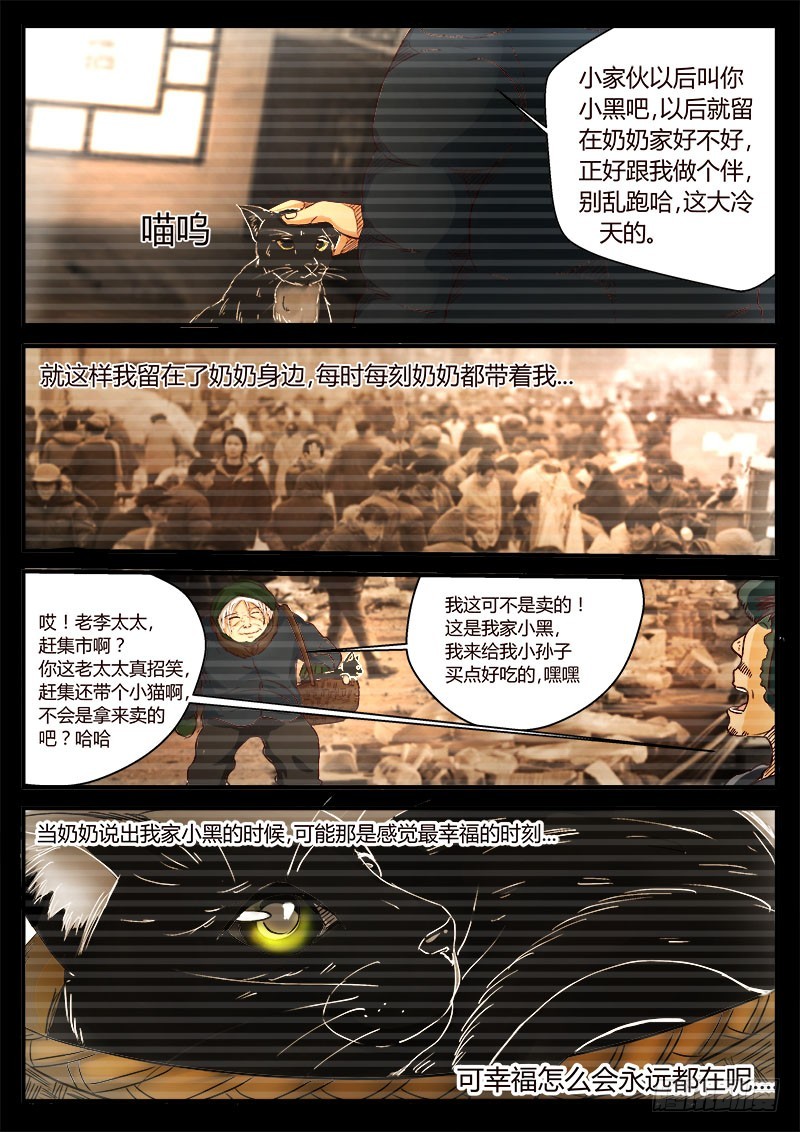 猫妖 3110