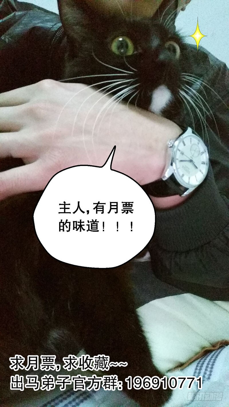 猫妖 3111