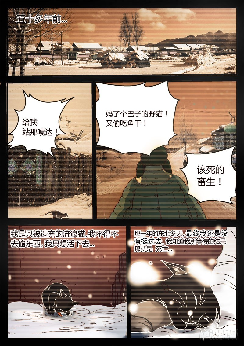 猫妖 318