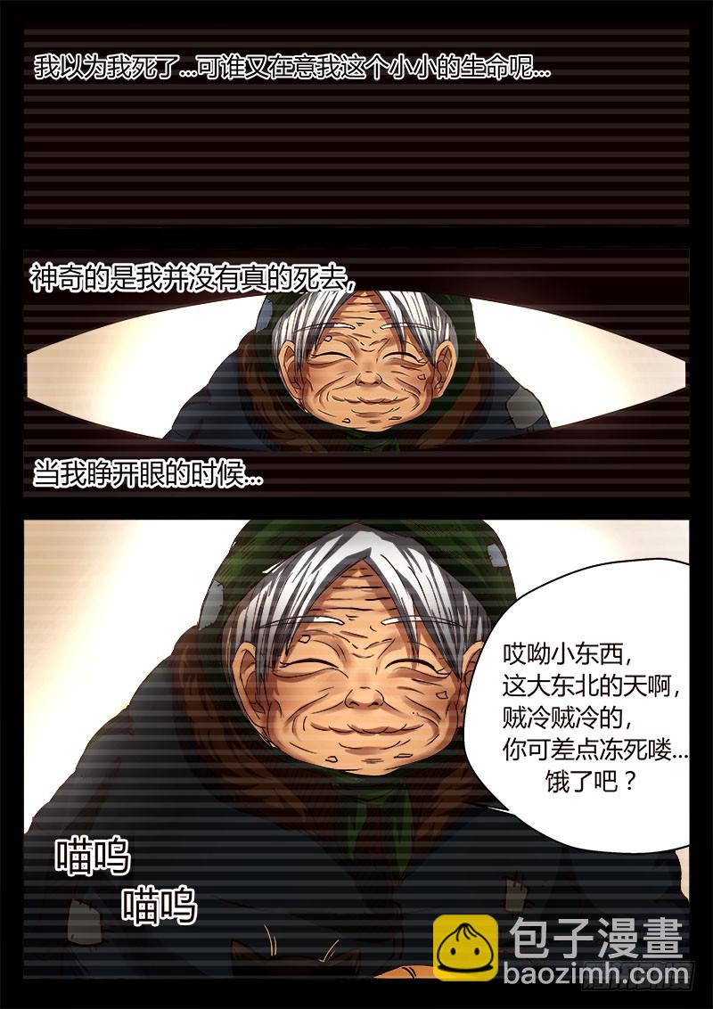 猫妖 319