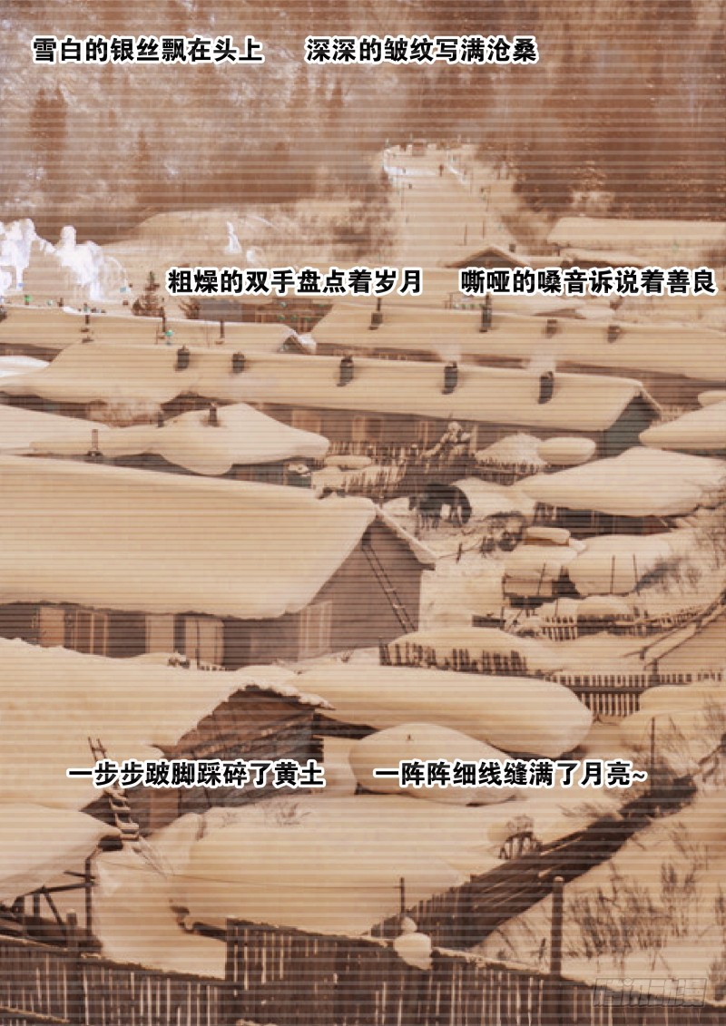 事实  323