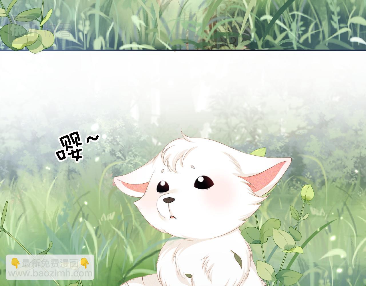 第45话 小白狐46