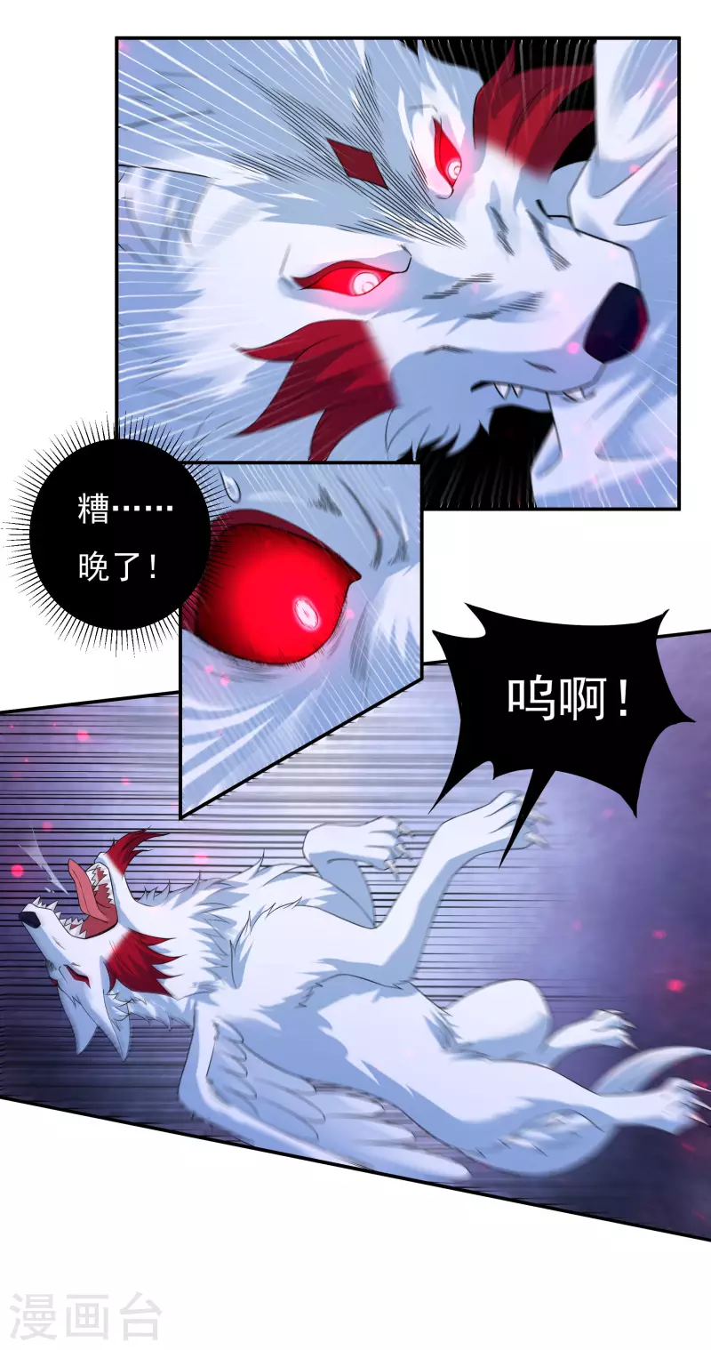第67话 白虎裂6