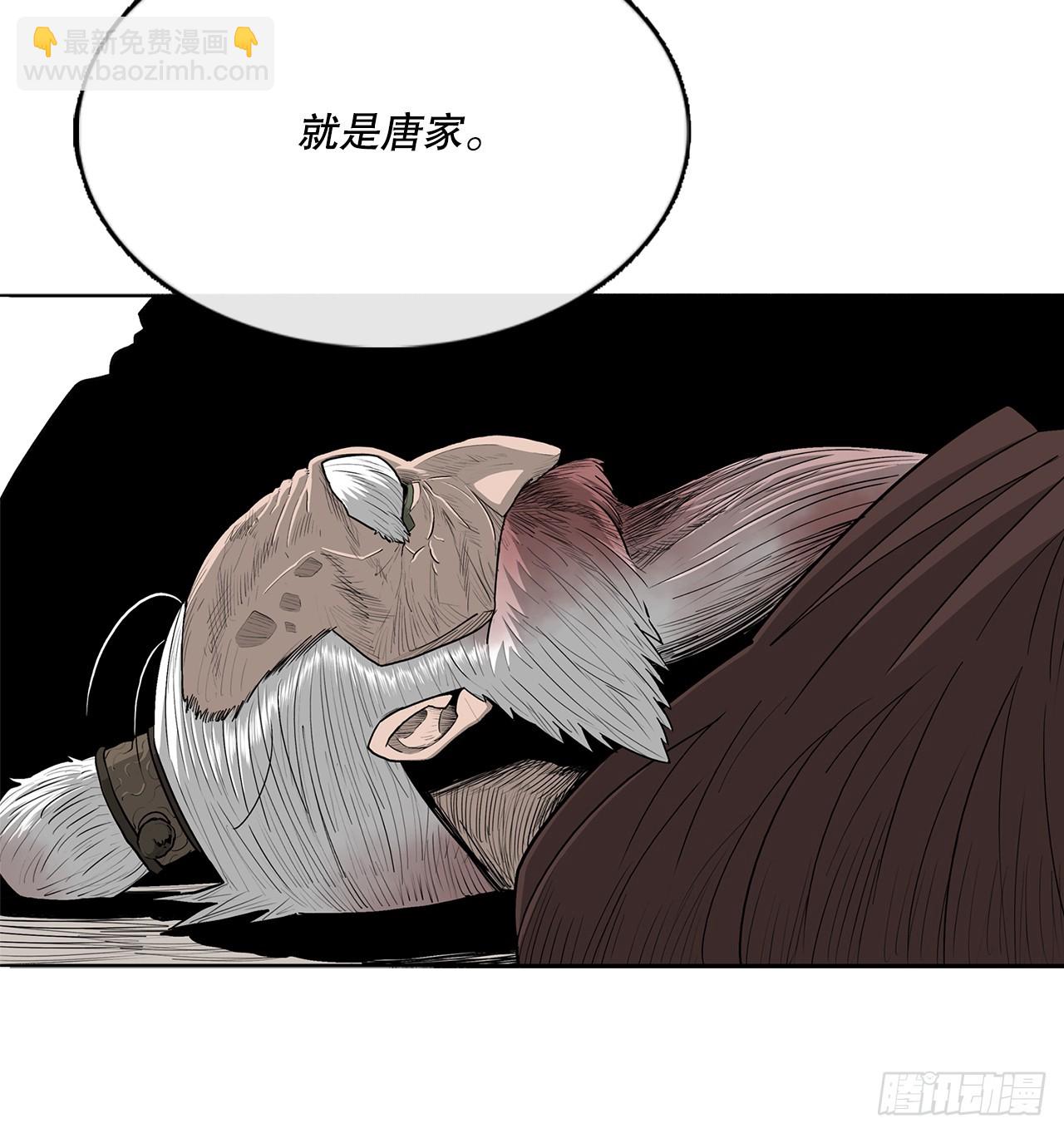 146.保护唐门36