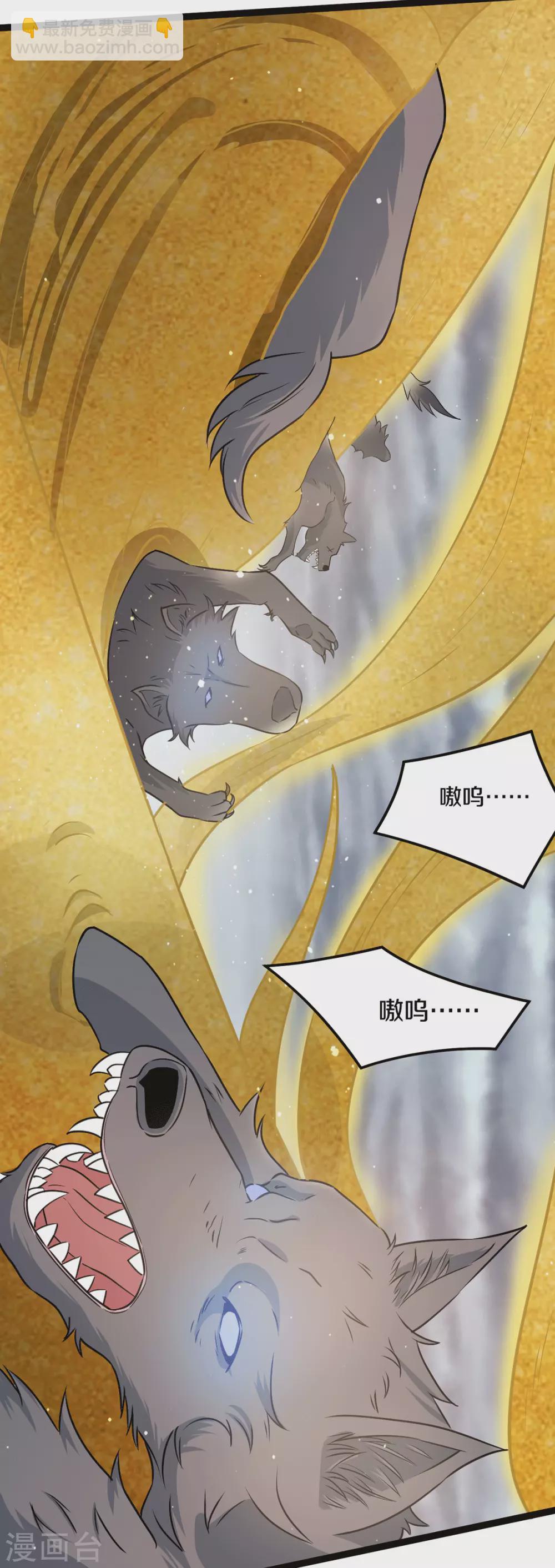 第216话4