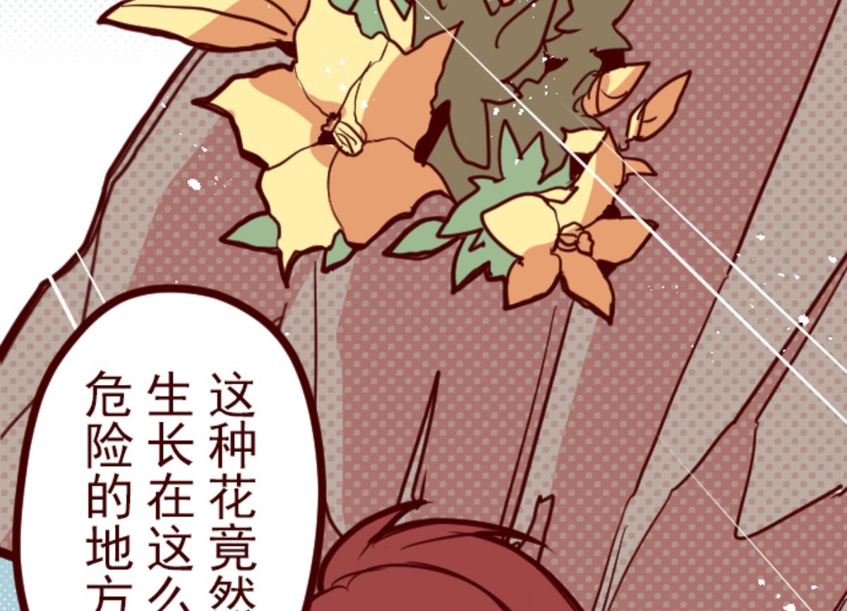 第123话 中央之战 81