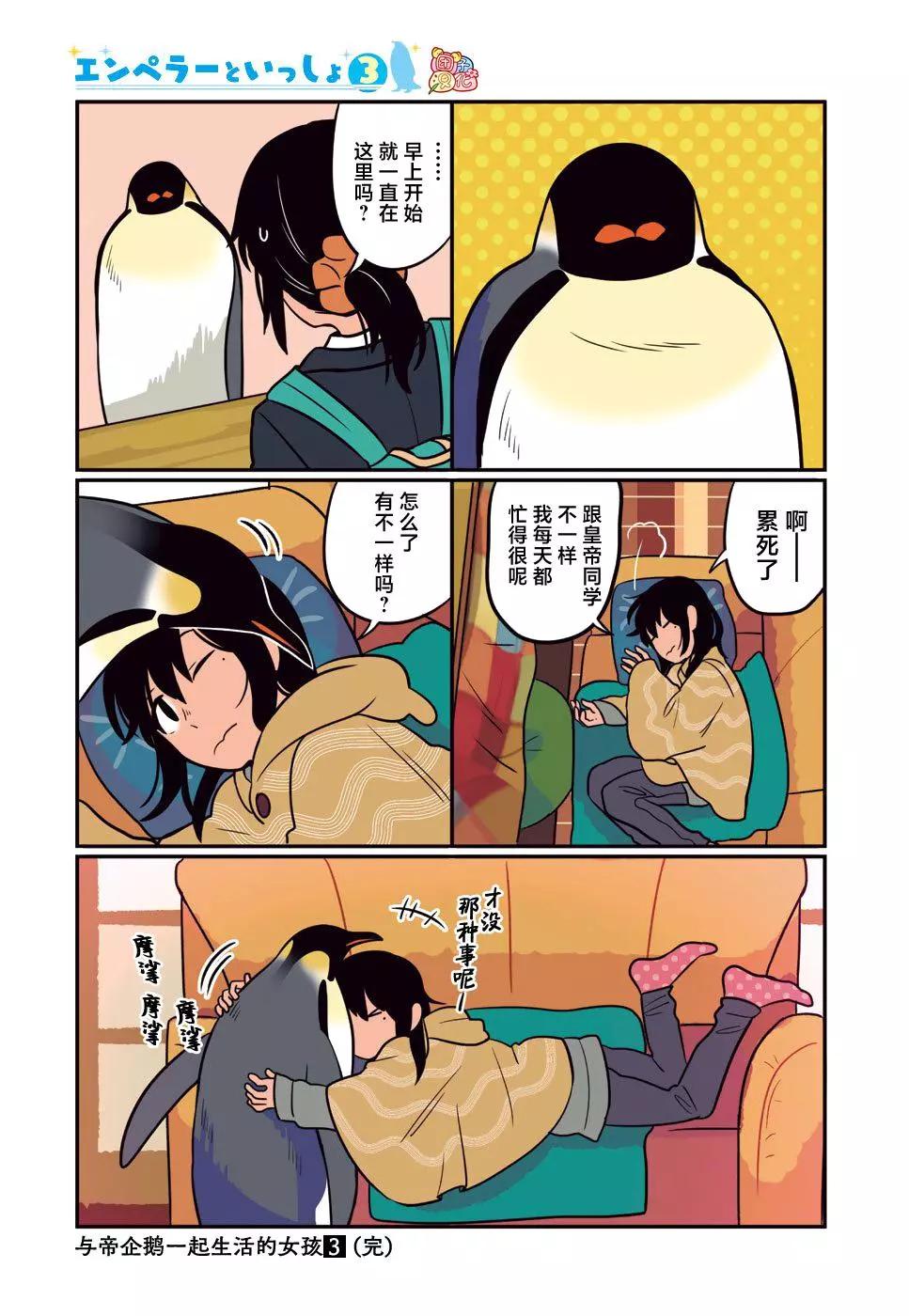 附赠篇048