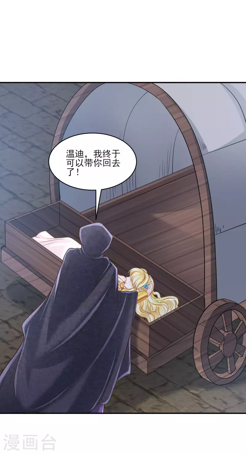 第134话 消失的王妃13