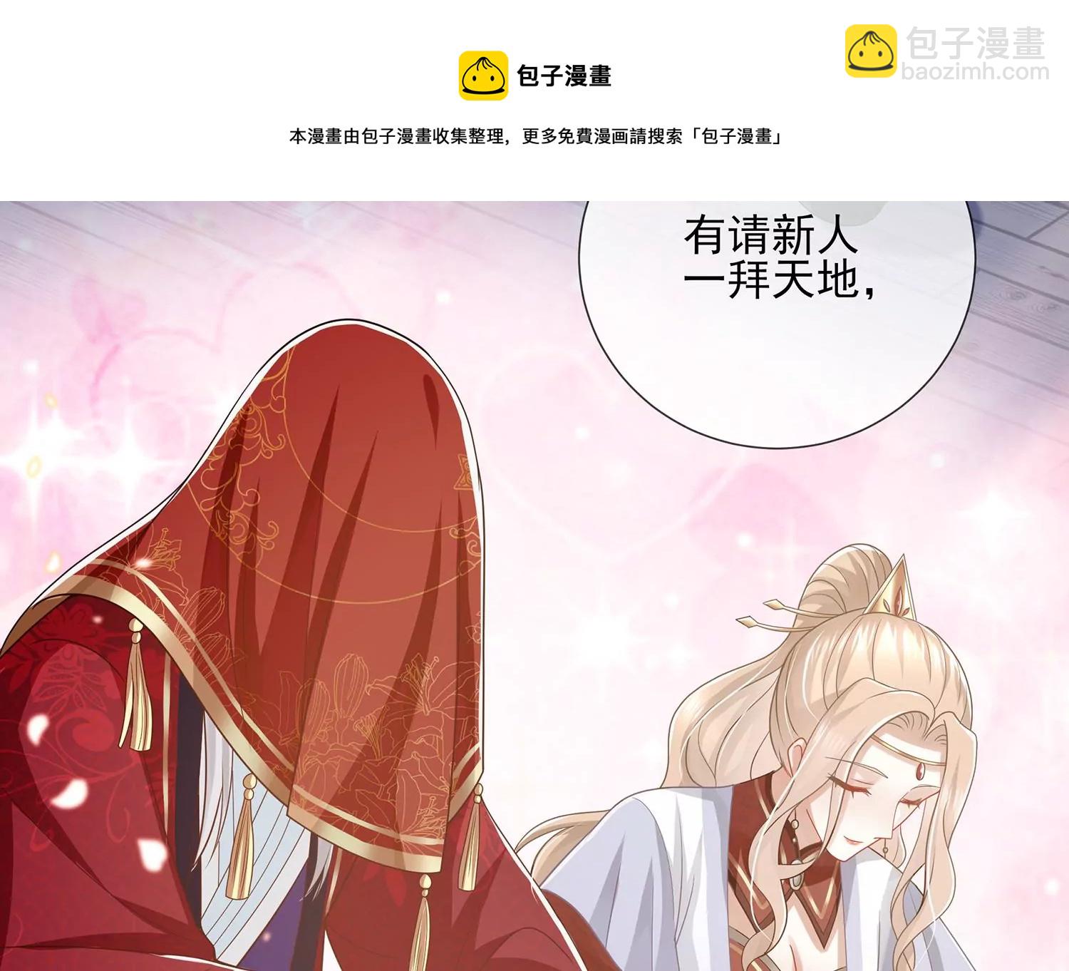 第129话 成亲了，新郎不是我12