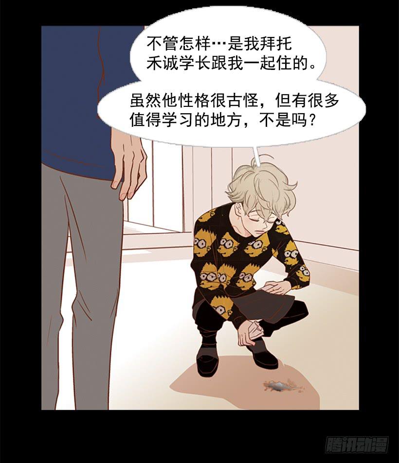 他是清除垃圾的人19