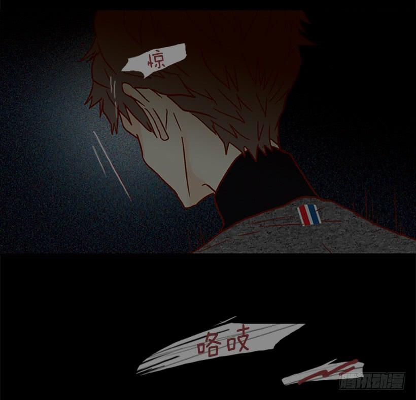 选择权在你手里19