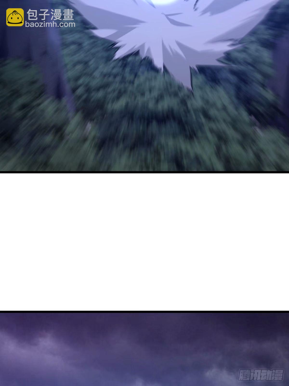 11116