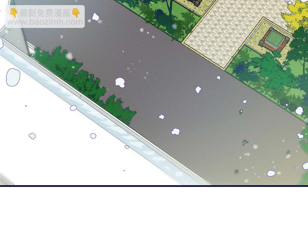 104 团宠蓝槿25