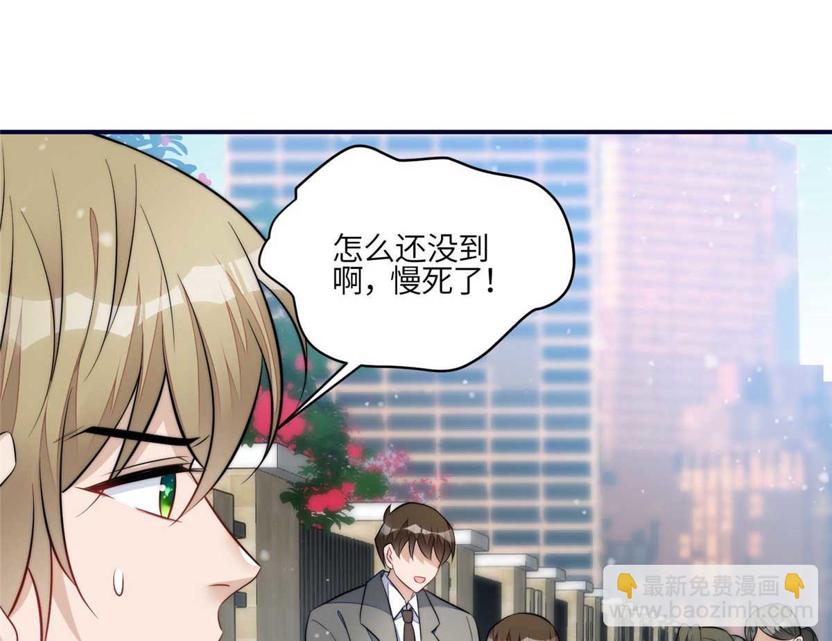 104 团宠蓝槿52