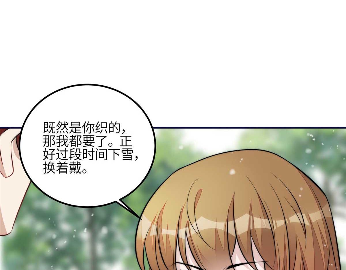 104 团宠蓝槿79