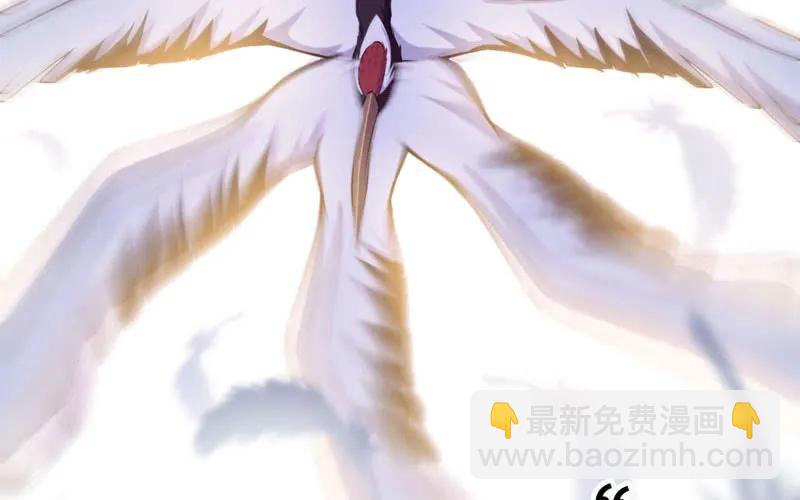 77-鱼的呼唤6