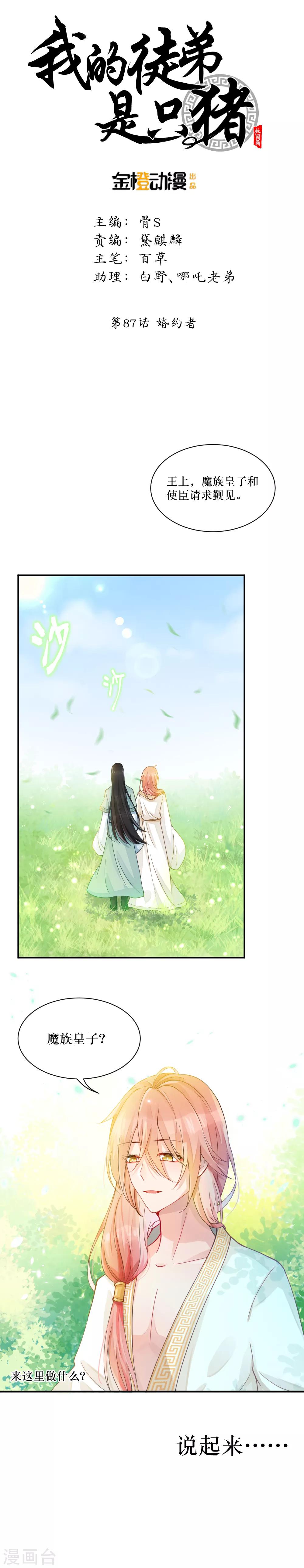 第87话 婚约者0